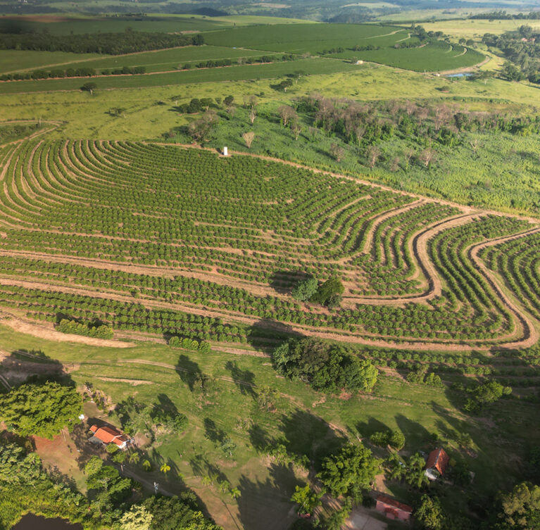 We grow fresh, organic produce using clean methods that protect nature, healthy food.