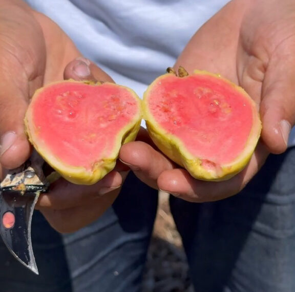 There are many variations of passages of Lorem Ipsum available, but majority have suffered teration in some form, by injected humour, or randomised words which don't look even slight believable. If you are going to use a passage of Lorem Ipsum.