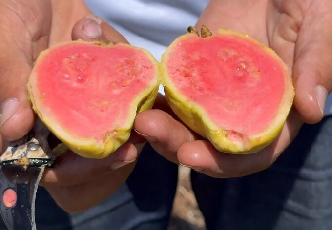 There are many variations of passages of Lorem Ipsum available, but majority have suffered teration in some form, by injected humour, or randomised words which don't look even slight believable. If you are going to use a passage of Lorem Ipsum.